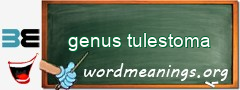 WordMeaning blackboard for genus tulestoma